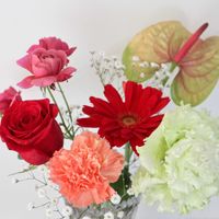 アンスリウム,カーネーション,ガーベラ,バラ,かすみ草の画像