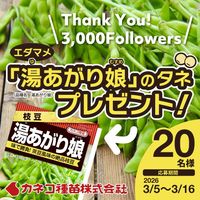 枝豆,湯あがり娘,湯あがり娘,プレゼント企画,カネコ種苗の画像