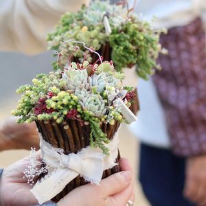 多肉植物,ベランダガーデン,植物のある暮らし,多肉ワークショップ,a_piece_of_dreamの画像