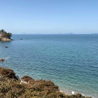 クスノキ,ランチ,瀬戸内海,２０２０年５月同期,能登半島の復興を願いますの画像