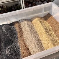 多肉の植え替え,いつも心に太陽を,多肉もお花も大好き❤️,小さな庭の画像