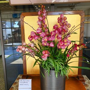 シンビジューム,ハンドメイド,寄植え,お花屋さん,熊本の画像