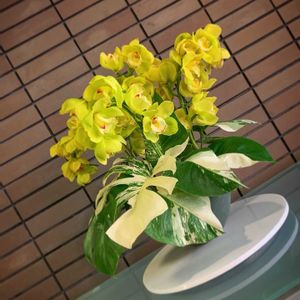 斑入りモンステラ,シンビジューム,ハンドメイド,寄植え,お花屋さんの画像