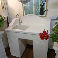 DIY,DIYガーデンシンク,モルタル造形,おっサンルームの画像