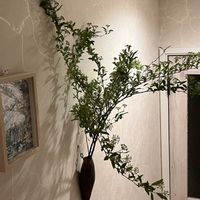 コデマリ,玄関アプローチの画像