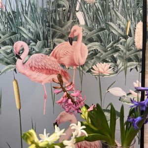 観葉植物,植物,お花,お庭,マイガーデンの画像