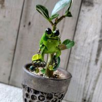 アデニウム,大好き,お気に入り♡,カエル,かわいい♡の画像