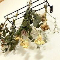 ドライフラワー,リビング・ダイニングの画像