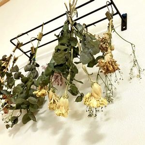 ドライフラワー,リビング・ダイニングの画像