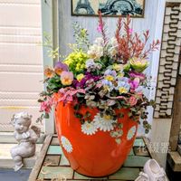 パンジー,ビオラ,寄せ植え,ガーデニング,可愛いの画像