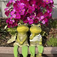 ニラ,ムラサキケマン,スーパーアリッサム,メラコイデス,ムスカリ　ピンクサンライズの画像