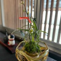四海波,フラワーアレンジメント,花のある暮らし,緑のある暮らし,ワークショップ の画像