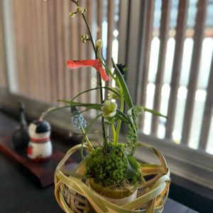 四海波,フラワーアレンジメント,花のある暮らし,緑のある暮らし,ワークショップ の画像