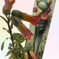 プリムラ マラコイデス,不死鳥,チャッピー,繋がりに感謝♡,毎月6日はカエルの日の画像