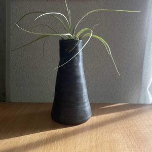 チランジア,エアプランツ,一輪挿し,iPhone撮影,asingleflowervaseの画像