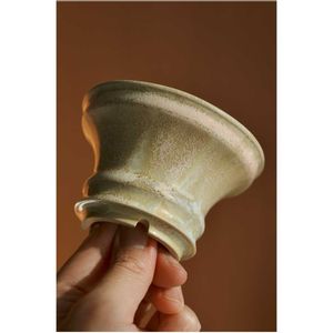 サボテン,ぼくモル鉢,ぼくモル ポタリー,多肉植物,観葉植物の画像