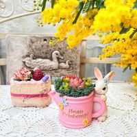 ハッピーイースター！,多肉の寄せ植え,可愛い寄せ植え,紅葉多肉,ミモザの日の画像