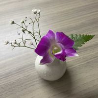 カスミソウ,レザーファン,デンファレの画像