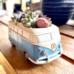 多肉植物,雑貨,インテリアと植物,インテリア,リビング・ダイニングの画像