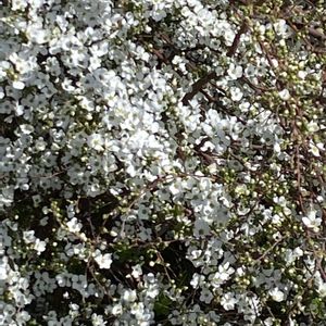 フェンスの画像