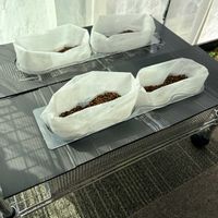 水耕栽培,家庭菜園初心者,みどりのある暮らし,南向き,おうち園芸の画像