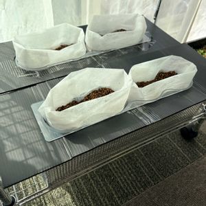 水耕栽培,家庭菜園初心者,みどりのある暮らし,南向き,おうち園芸の画像