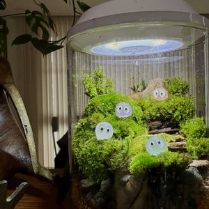 コケテラリウム,コケ,苔テラリウム,癒しの時間,花のある風景の画像