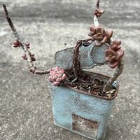 放置多肉,盆栽みたいな,リメ缶寄せ植えのその後の画像