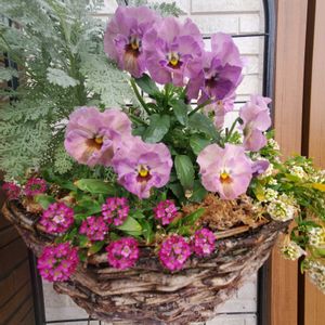 玄関アプローチの画像