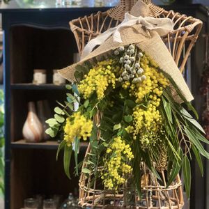 シルバーブルニア,ミモザ,ミモザアカシア,ワークショップ ,黄色の花の画像