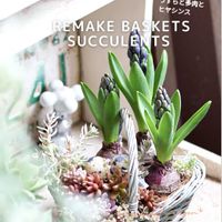 ヒヤシンス,多肉,多肉植物,ベランダガーデン,植物のある暮らしの画像