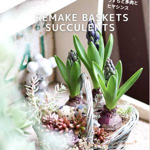 ヒヤシンス,多肉,多肉植物,ベランダガーデン,植物のある暮らしの画像