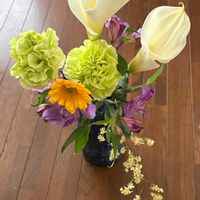 ガーベラ,カラー ウエディングマーチ,カラー ウエディングマーチ,ミニ水仙  ティタティタ,ミニ水仙  ティタティタの画像