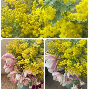 ミモザ,可愛い,黄色い花,生け花,花のある暮らしの画像