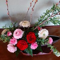 コデマリ,コデマリ,サクラ,バラ,ラナンキュラスの画像