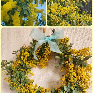 ミモザ,リース,ミモザリース,今日のお花,チーム千葉✿︎の画像
