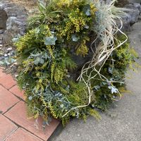 ユーカリ,ミモザ,リース,ブーケ,お祝いブーケの画像