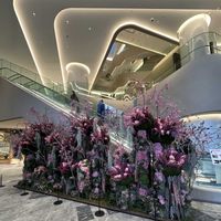 アンズ,花のある暮らし,おでかけ先の画像