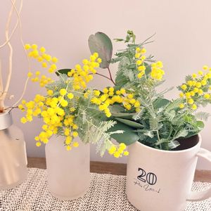 ミモザ,ミモザ,ユーカリ ポポラス,ユーカリ ポポラス,ナチュラルガーデンの画像