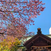 ミモザ,green life,ｷﾞｭｯﾄby♡me,レッツゴー三匹,妄想倶楽部の画像