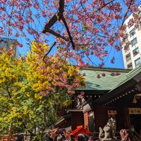 ミモザ,green life,ｷﾞｭｯﾄby♡me,レッツゴー三匹,妄想倶楽部の画像