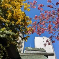 ミモザ,green life,ｷﾞｭｯﾄby♡me,レッツゴー三匹,妄想倶楽部の画像