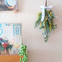 ミモザ,スワッグ,癒される,花のある暮らし,no green no lifeの画像
