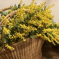 ナチュラルガーデン,自然が好き,GS映え,ミモザ♪,GS日和の画像