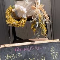 アンズ,ミモザ,玄関の画像