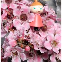 アセビ,アセビ,アネモネ,アネモネ,芝桜の画像