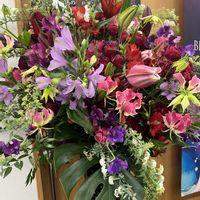 スイートピー,フキノトウ,ユリ,シレネ ピンクパンサー,ネコ好きの画像