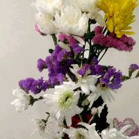 カーネーション,キク,スターチス,仏壇の供花の画像