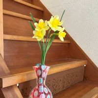 スイレン,ラナンキュラスラックス,クレマチス  カードマニージョー,小さな幸せ♡,春ですね♪の画像