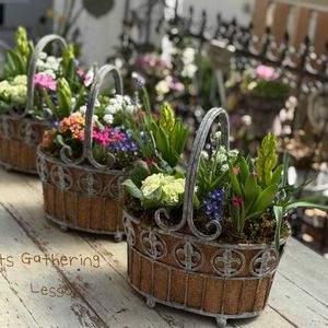 アッツサクラ,ムスカリ・タッチオブスノー,フッチンシアアイスキューブ,寄せ植え,ギャザリングの画像